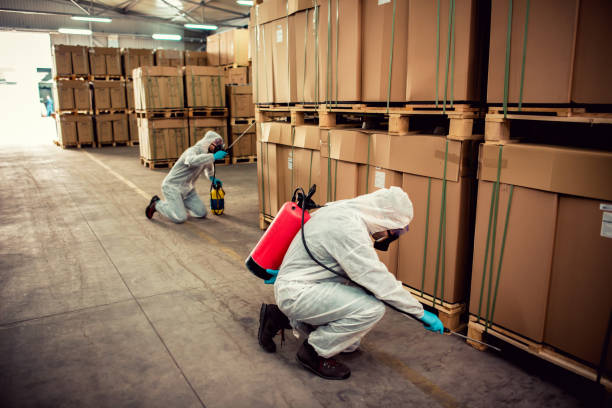 Best Local Pest Control Services  in Baldwinsville, NY