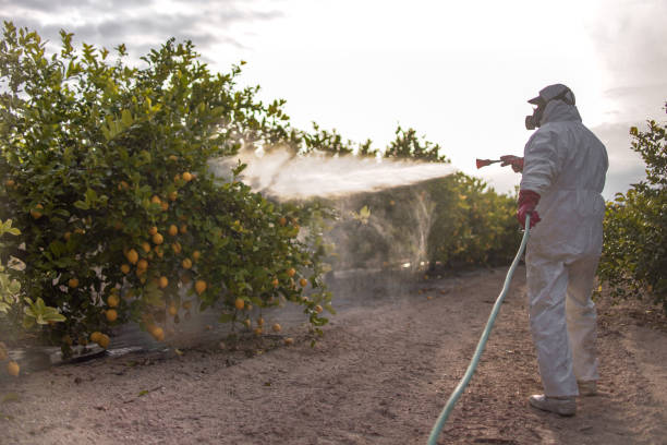 Best Residential Pest Control  in Baldwinsville, NY