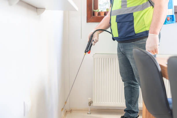 Best Wasp Removal Services  in Baldwinsville, NY