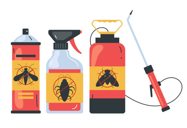 Best Pest Inspection Near Me  in Baldwinsville, NY