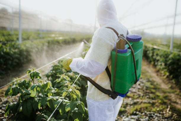 Best Exterminator Services  in Baldwinsville, NY